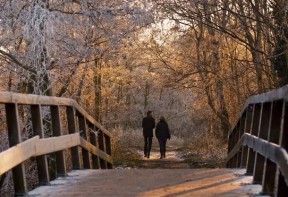 worker newsletter November 2013