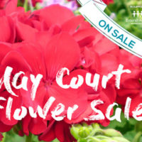 May Court Flower Sale thumbnail