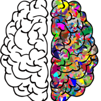 Exploring Autism- Virtual Information Session