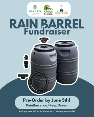 PRESS RELEASE: Reep Green Solutions Launches Rain Barrel Fundraiser to Support New WALES Community Garden and Water Conservation Initiatives thumbnail